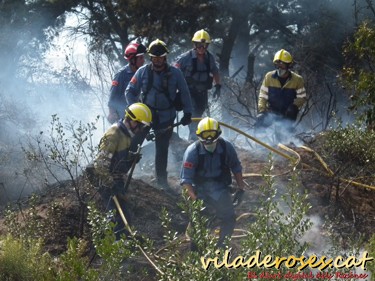 Campanya forestal 2013