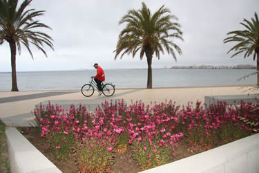 Flors i arbres nous a Roses