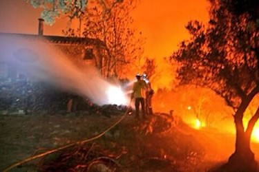 Incendi forestal a Vilopriu