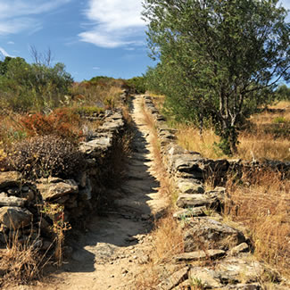 Camí de Roses