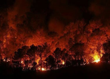 Incendi a Vall-llobrega