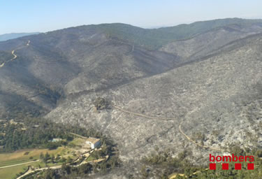 Incendi a Vall-llobrega