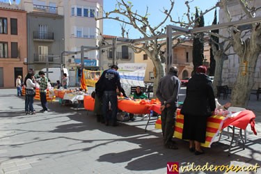 Fira del Voluntariat de Roses