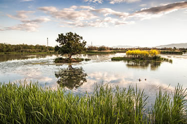 Parc Natural dels Aiguamolls de l'Empordà