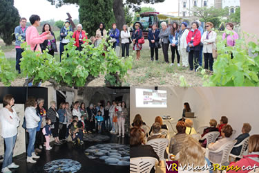 II Diada del Voluntariat de la Fundació Roses contra el Càncer