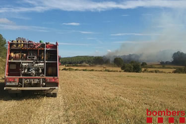 Incendi de vegetació de Saus, Camallera i Llampaies