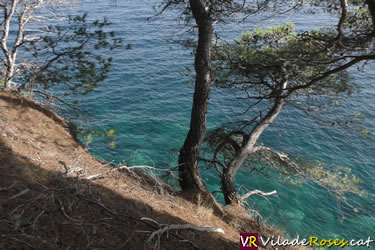 Mor un menor de 13 anys en caure al buit des del camí de Ronda de Roses