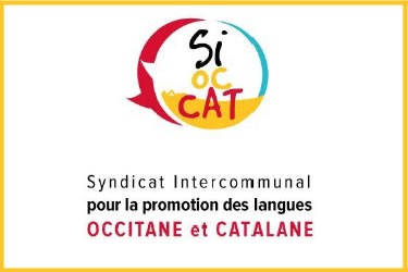 SIOCCAT sí al referèndum