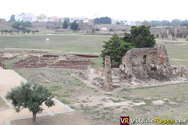 Càtedra Roses d’Arqueologia i Patrimoni Arqueològic