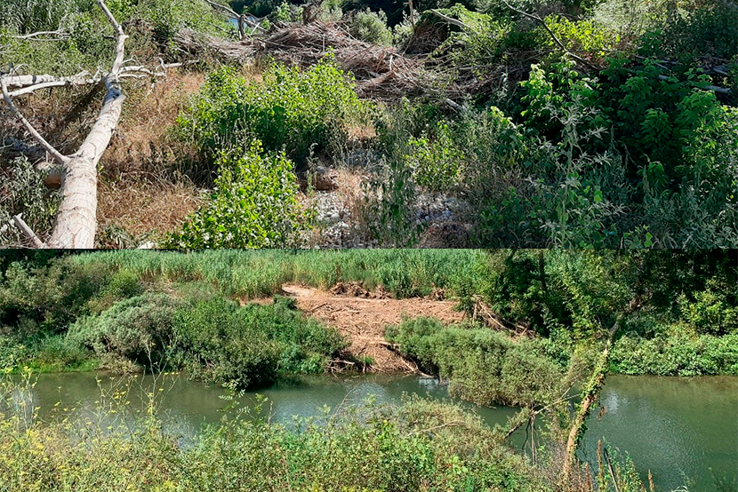 Agència Catalana de l’Aigua