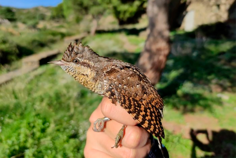 Cap de Creus Autumn Weekend