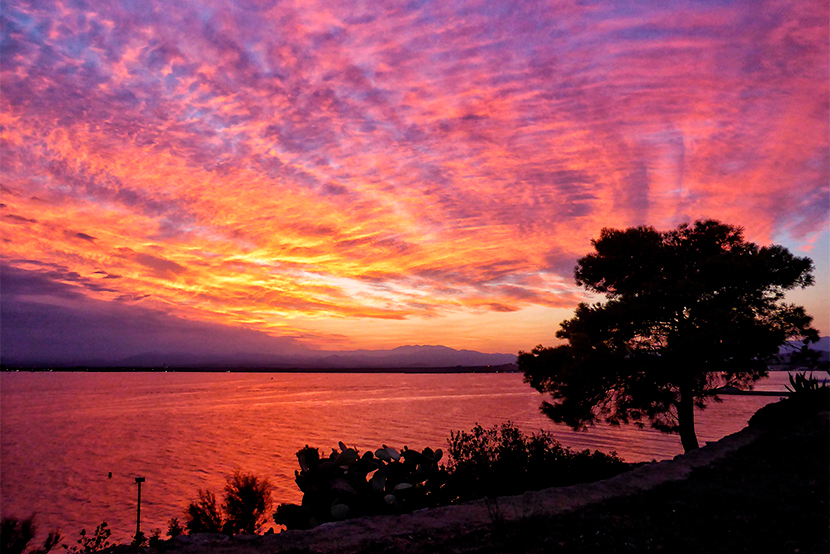 Concurs de les postes de sol de Roses