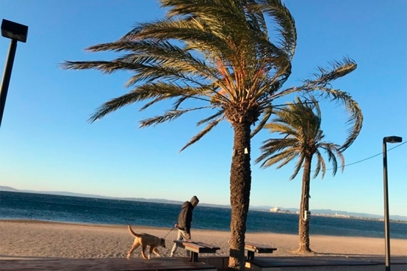 Protecció Civil desactiva l'Alerta del pla VENTCAT