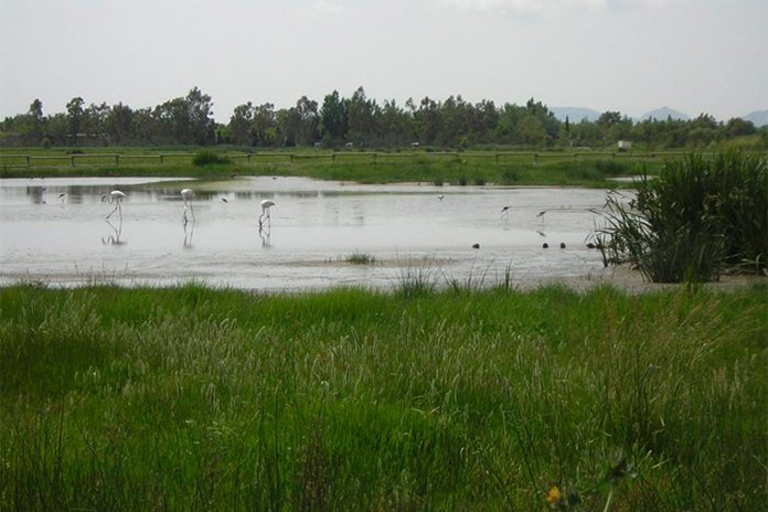 Parc Natural dels Aiguamolls de l'Empordà