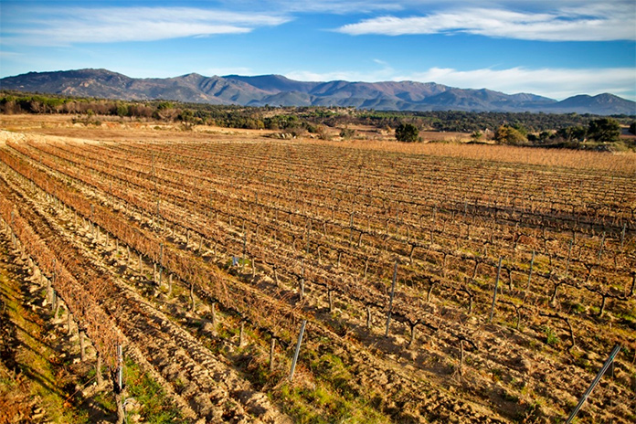 Consell Regulador de la DO Empordà