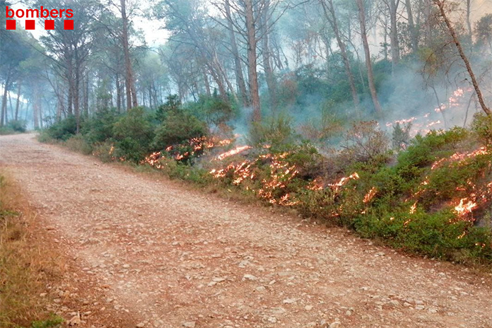 Incendi a Torroella de Montgrí