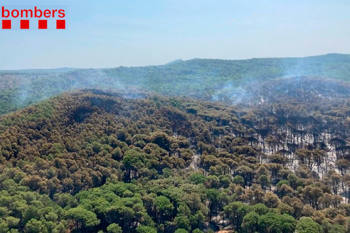 Incendi a Torroella de Montgrí