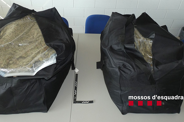 Mossos d'Esquadra