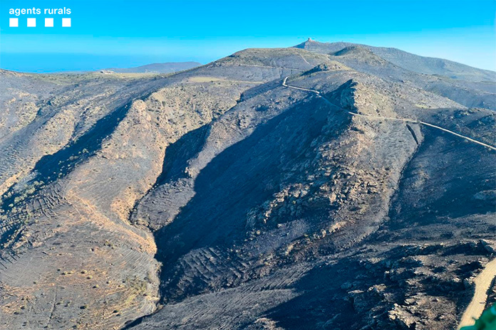 Incendi forestal a Roses