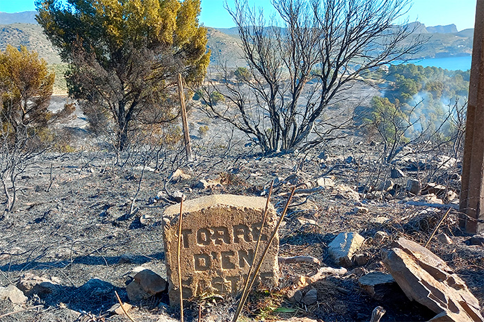 Prohibit de fer foc al bosc