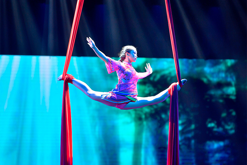 Festival Internacional del Circ Elefant d'Or