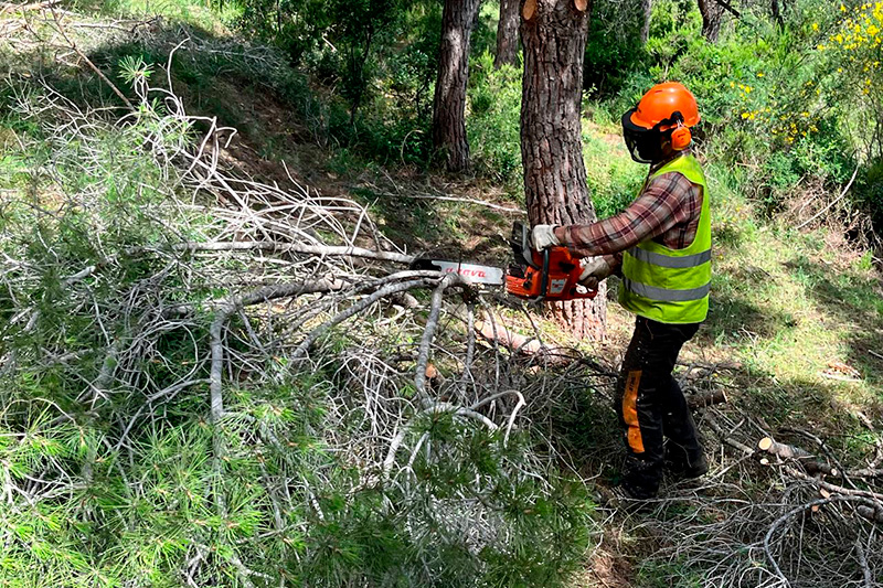 Departament d’Acció Climàtica, Alimentació i Agenda Rural