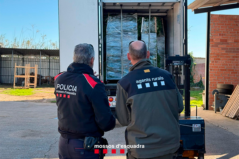 Mossos d'Esquadra i Agents Rurals