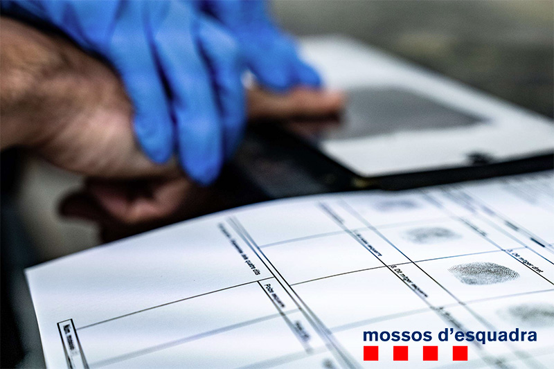 Mossos d'Esquadra